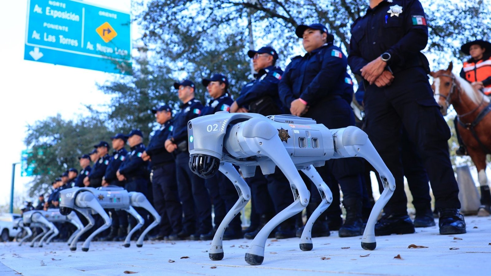 Jogos da Copa do Mundo no México terão cães-robôs na segurança