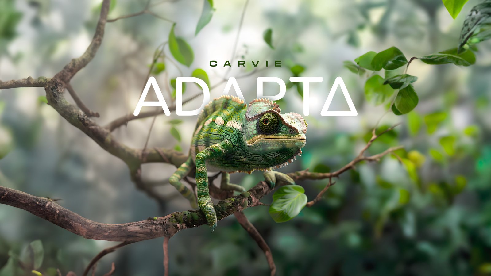 Adapta cria ecossistema de softwares adaptáveis para PMEs e anuncia aquisição