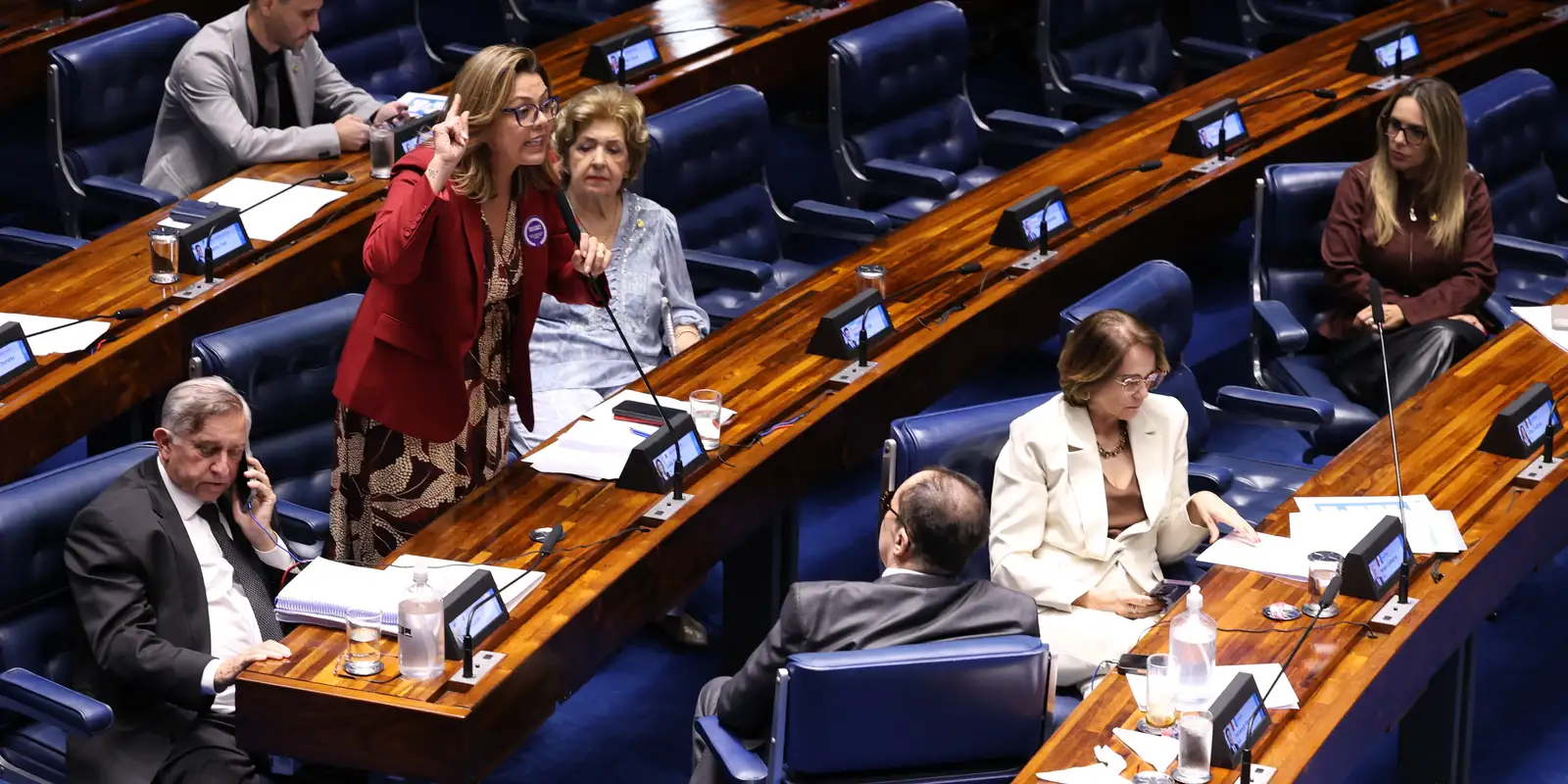 Senado Federal aprova projeto de lei que criminaliza a misoginia
