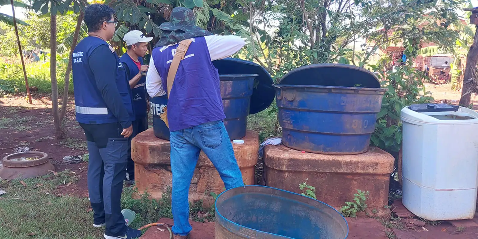 Chikungunya: entenda doença que preocupa Mato Grosso do Sul