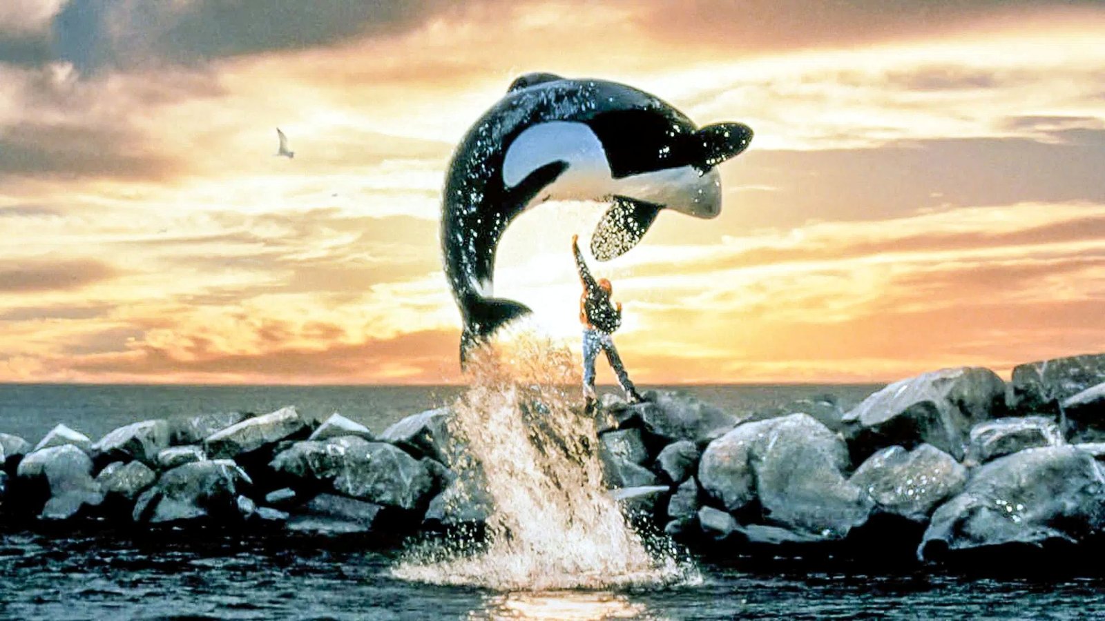 Free Willy vai ganhar reboot produzido pelos diretores de Vingadores